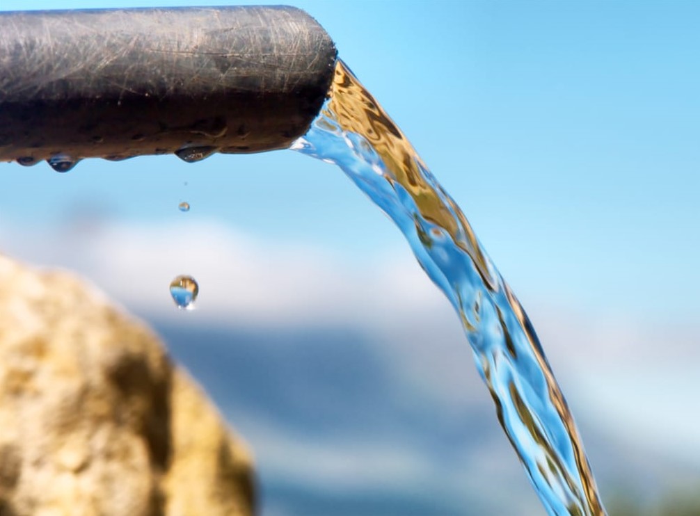 Stress hydrique: goutte à goutte